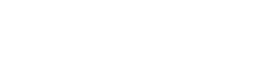PayDunya